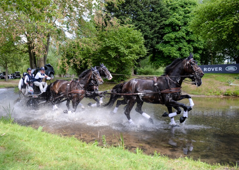 Boyd Exell_Royal Windsor Horse Show.jpg