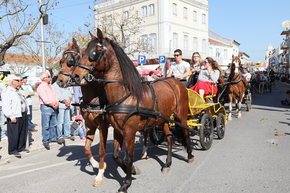Romaria a Cavalo Moita Viana do Alentejo