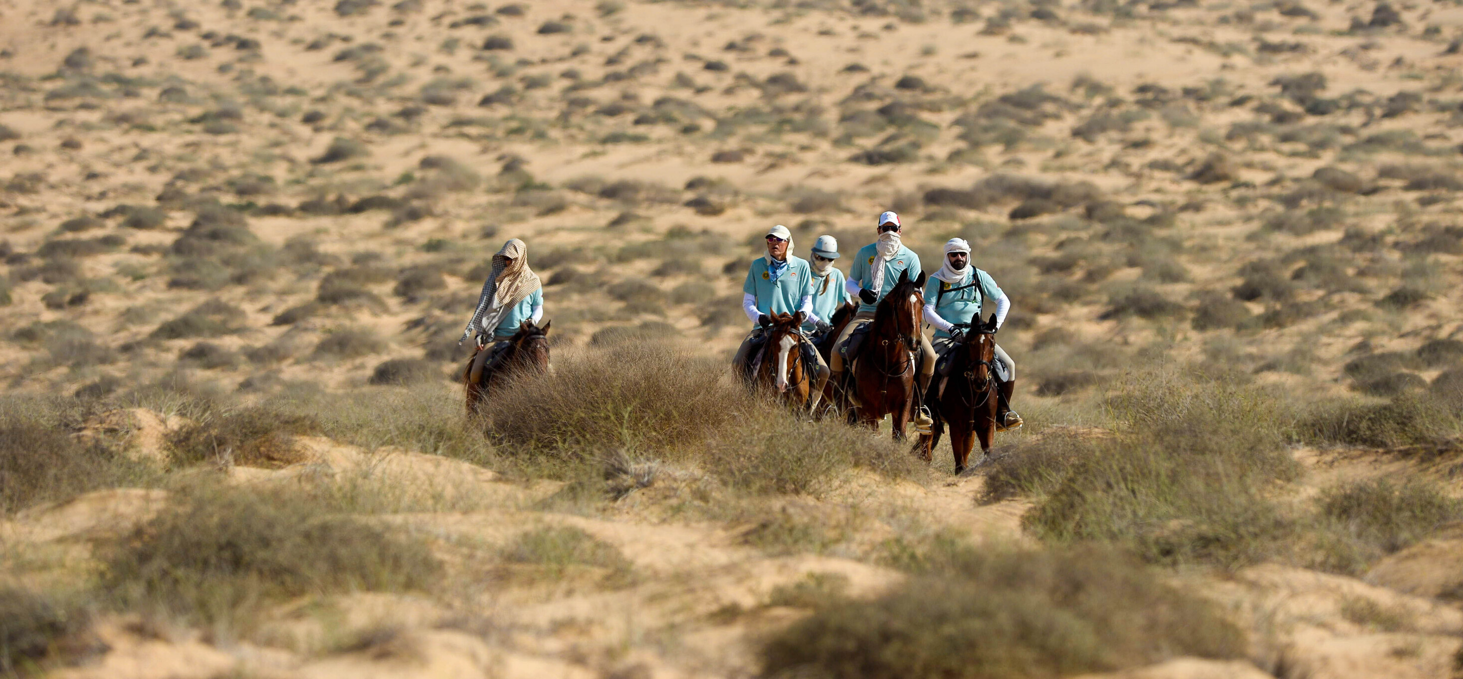 Gallops Marrocos
