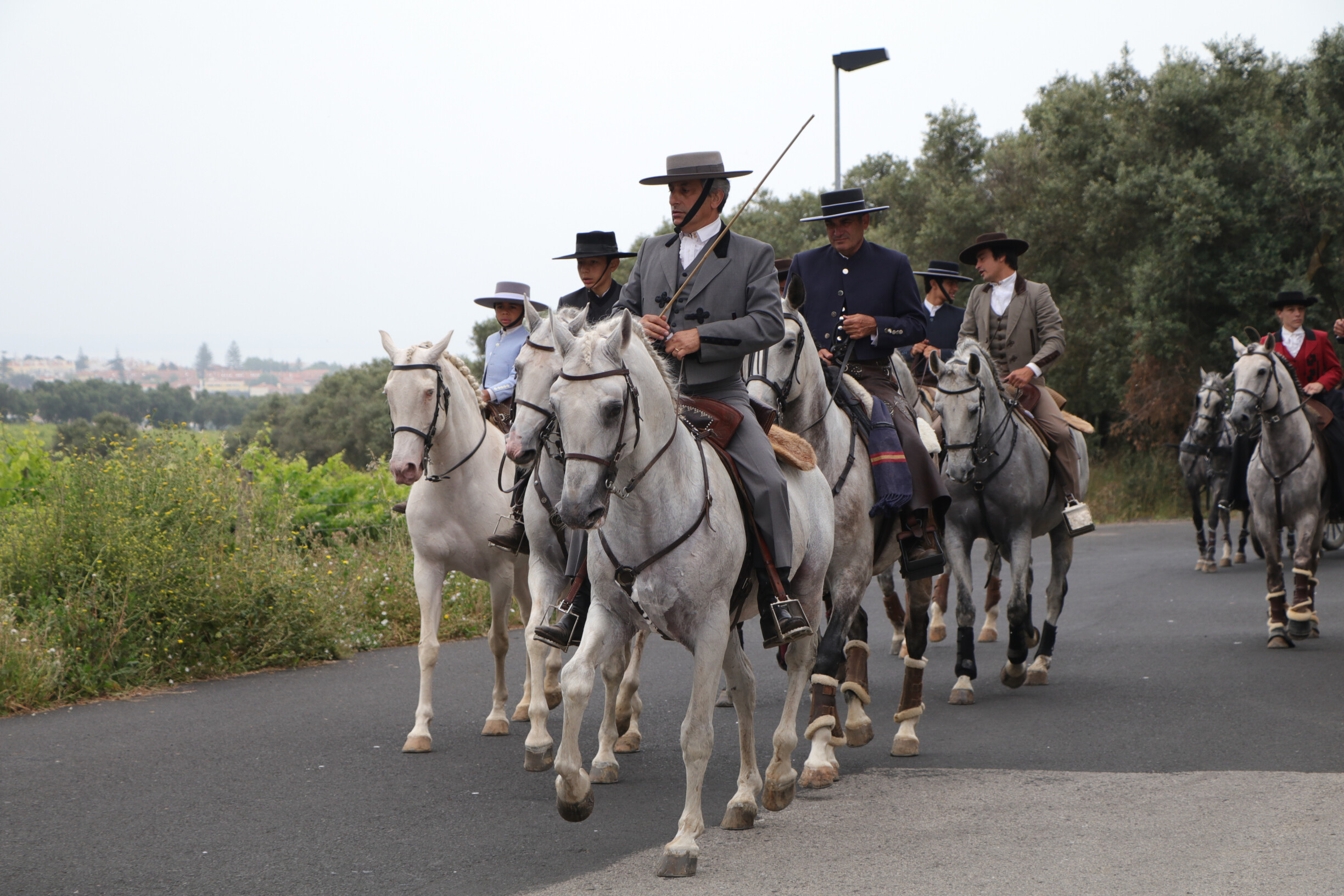 Passeio Festa do Cavalo Porto Salvo