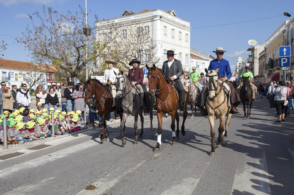 Romaria Moita - Viana do Alentejo