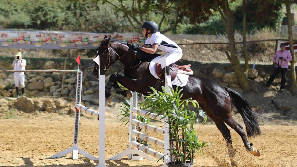 Concurso de Saltos Regional de Mafra