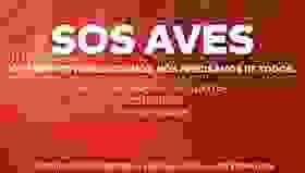 CD Aves lança apelo urgente aos sócios-image