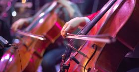 Fundação Franz Schubert promove 