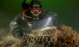Mergulhadores encontram máquina nazi Enigma da Segunda Guerra Mundial-image