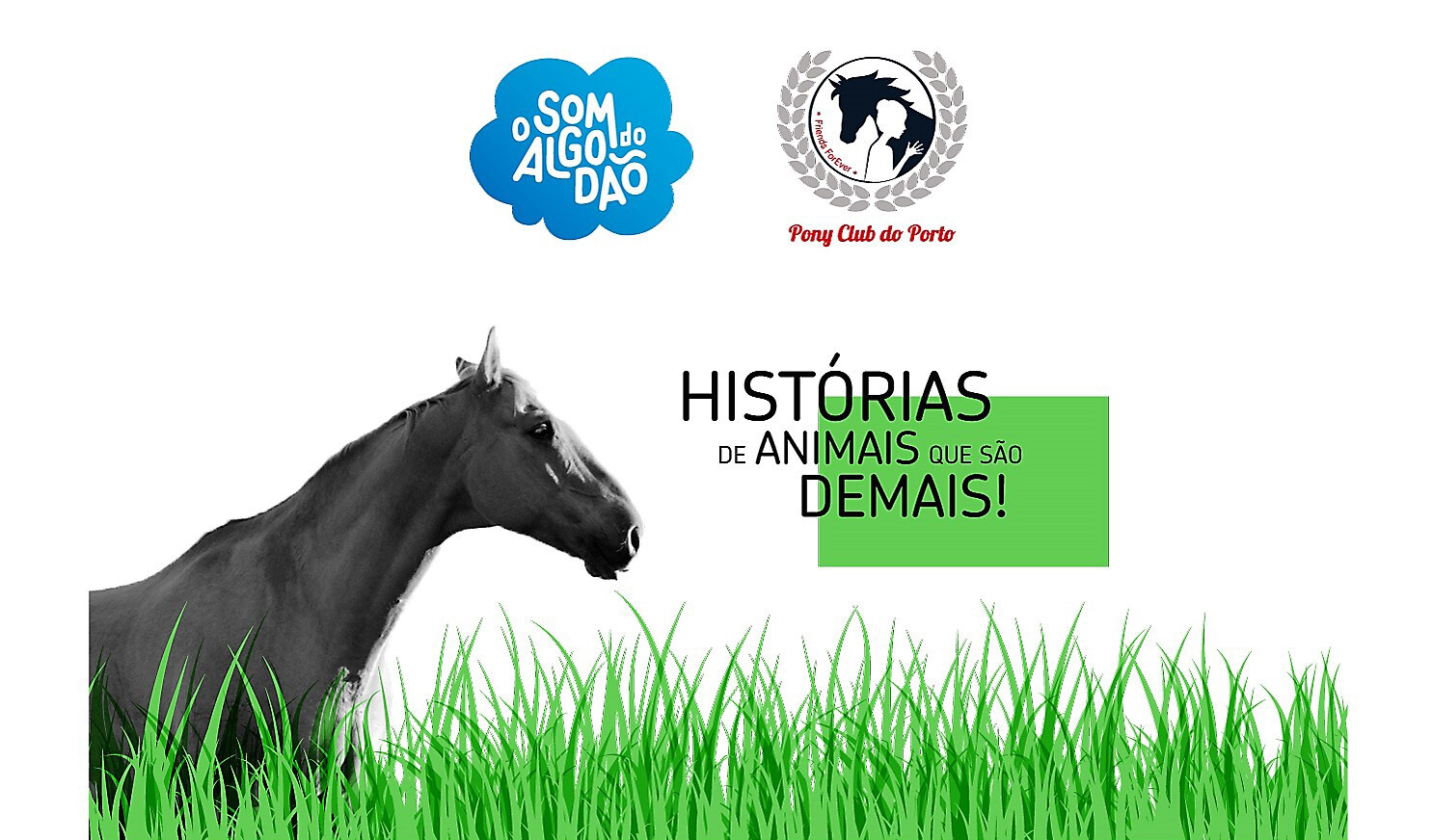 Pony Club do Porto