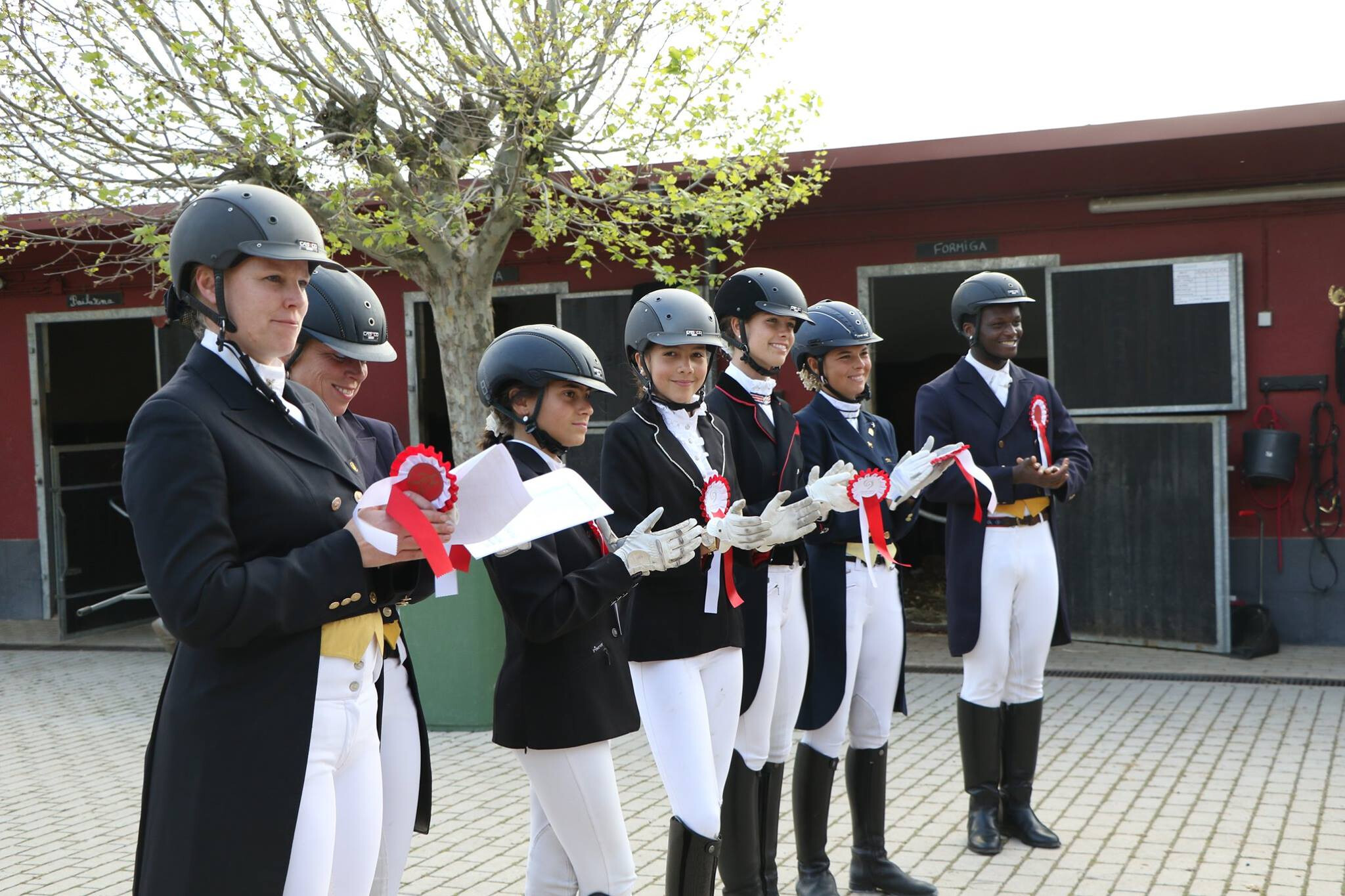 Dressage Challenge
