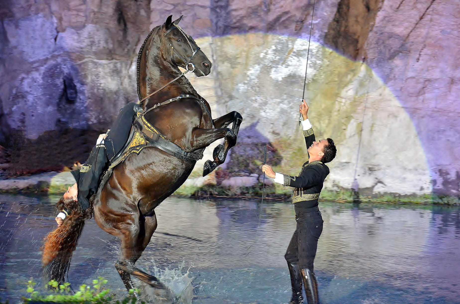 Gonzalez horse show