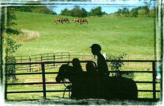 Palestra O cavalo como meio terapêutico: montado e engatado
