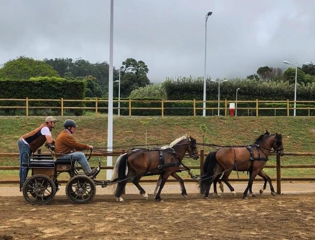 Treino Atrelagem Açores