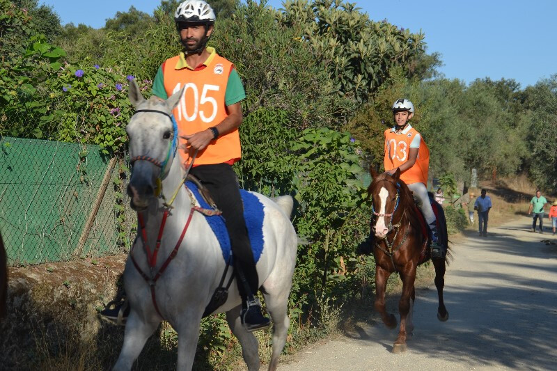 XII Raid Ruta de Los Dólmenes